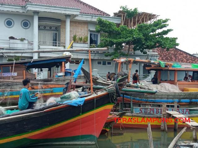 Rumah mewah di atas pantai dekat mura di Desa Muara Gading Mas, Labuhan Maringgai, Lampung Timur. Foto: Mas Alina/Teraslampung.com