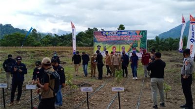 Gubernur Sulawesi Barat dan Wabup Mamuju Tengah Sambut Kedatangan Transmigran Asal Jatim dan DIY