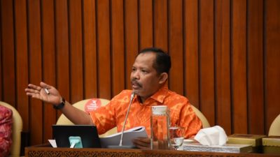DPR Kritik Kinerja Pemerintah Soal Rehabilitasi Hutan Bakau