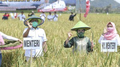 Mendes PDTT Ajak Petani Wujudkan Ketahanan Pangan Nasional