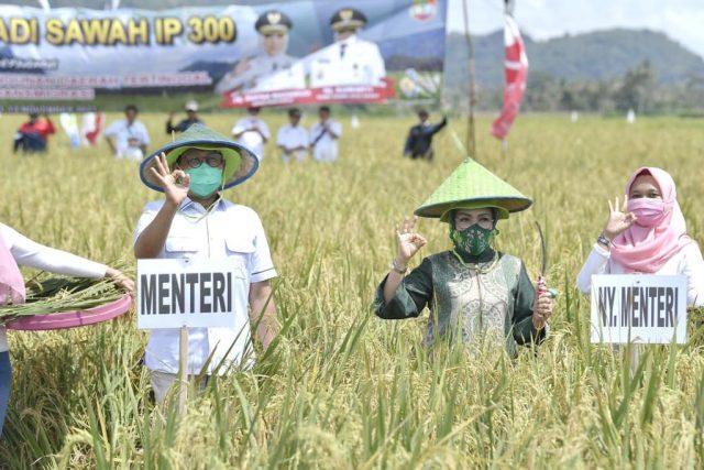 Mendes PDTT Ajak Petani Wujudkan Ketahanan Pangan Nasional