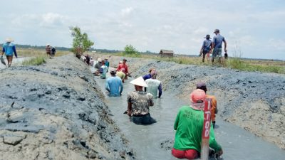 KKP: Pengelolaan Irigasi Tambak Partisipatif Bisa Tingkatkan Produktivits Tambak Rakyat