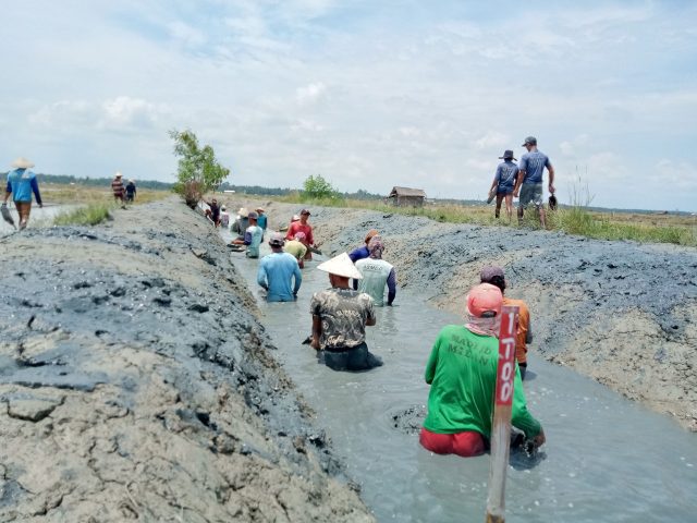 KKP: Pengelolaan Irigasi Tambak Partisipatif Bisa Tingkatkan Produktivits Tambak Rakyat