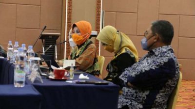 Program Ketahanan Pangan di Kawasan Transmigrasi, Ini Kata Dirjen PPTrans