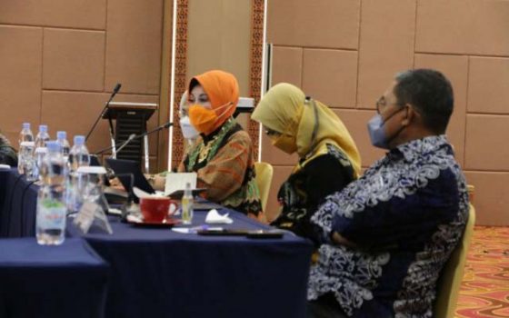 Program Ketahanan Pangan di Kawasan Transmigrasi, Ini Kata Dirjen PPTrans