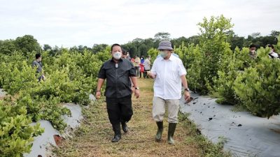 Gubernur Lampung  Kunjungi Teknologi Pertanian Presisi di Cisaat 