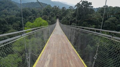 BPBJ Lampura Belum Bisa Pastikan Proyek Jembatan Gantung Rp1,3 Miliar Lanjut atau Tidak