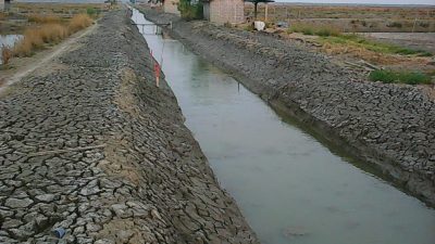 Program PITAP, Petambak Pematang Pasir Lamsel Kini Lakukan Budidaya Sepanjang Tahun