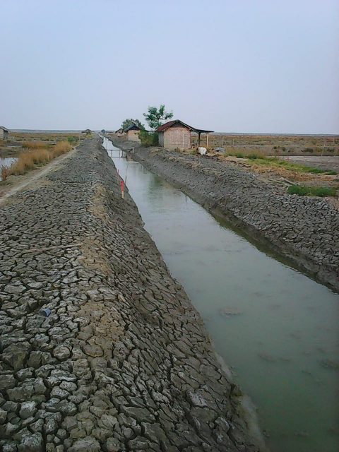 Program PITAP, Petambak Pematang Pasir Lamsel Kini Lakukan Budidaya Sepanjang Tahun