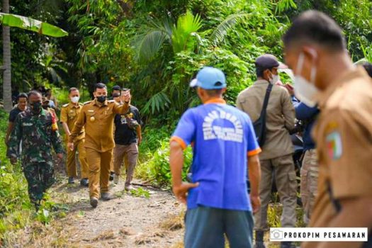 Bupati Pesawaran Tinjau Jembatan Ambrol di Desa Gebang