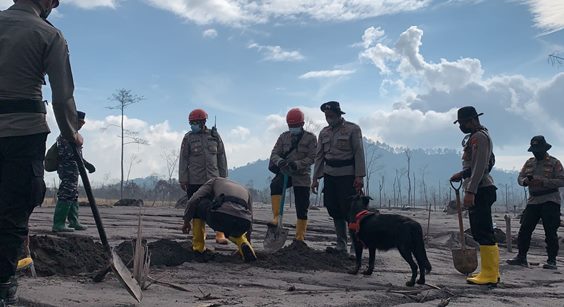 Pencarian Hari Kelima, 43 Korban Meninggal Erupsi Gunung Semeru Ditemukan