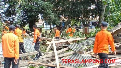 Pohon Tumbang Hancurkan Satu Los Pasar Sentral Lampura, Satu Luka – Luka
