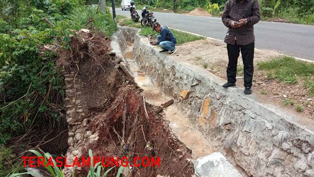 Diduga Berkualitas Buruk, Talut di Jalan Lintas Tengah Sumatera Lampura Ambrol