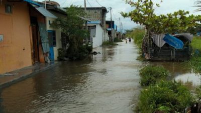 Banjir Merendam 59 Rumah di Kabupaten Jayapura