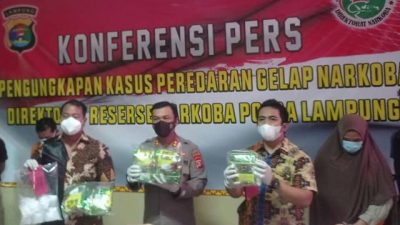Diupah Rp 100 Juta, IRT Warga Bandarlampung Jadi Kaki Tangan Bandar Narkoba Asal Riau