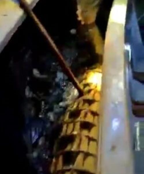 Diduga Milik Perusahaan, Warga Batam Tewas Diterkam Buaya