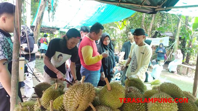 Sensasi Wisata Durian di Lampung: Bayar Rp 60 Ribu, Nikmati Sepuasnya di Kebun