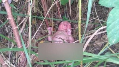 Dibuang di Kebun Singkong, Bayi Ditemukan Pemancing Belut