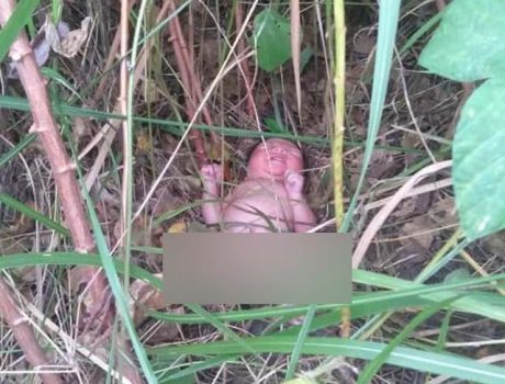 Dibuang di Kebun Singkong, Bayi Ditemukan Pemancing Belut
