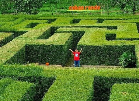 Tempat wisata Coban Rondo di Malang. Foto: wisatamalangku.com
