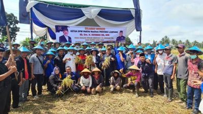 Ketua DPW Nasdem Lampung Hadiri Panen Raya di Lampung Timur