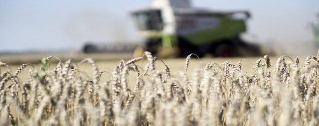 Dampak Perang Rusia – Ukraina bagi Perekonomian Indonesia