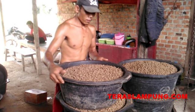 Budidaya Ikan Patin, Agar Untung Makin Besar Rudi Buat Pakan Sendiri