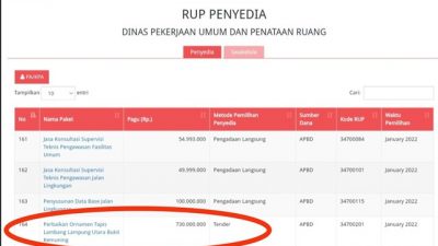 Banyak Jalan Rusak, Dinas PUPR Lampura Justru Perbaiki Ornamen Senilai Rp730 juta