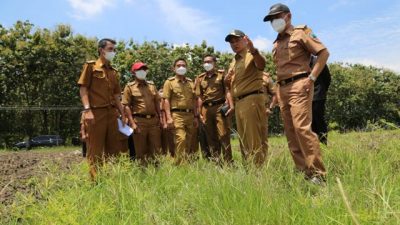 Petani Milenial untuk Ketahanan Pangan, Bupati Lamsel Tinjau Lahan Kosong di Desa Marga Catur
