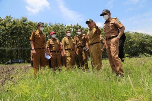 Petani Milenial untuk Ketahanan Pangan, Bupati Lamsel Tinjau Lahan Kosong di Desa Marga Catur