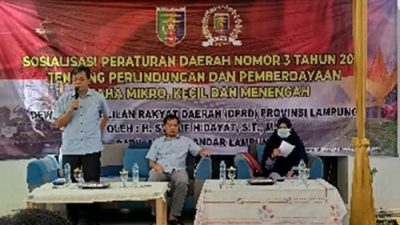Syarif Hidayat Sosialisasikan Perda Perlindungan-Pemberdayaan UMKM