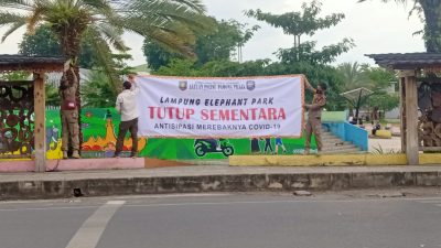 Antisipasi Penyebaran Covid -19, Lampung Elephant Park Ditutup Sementara
