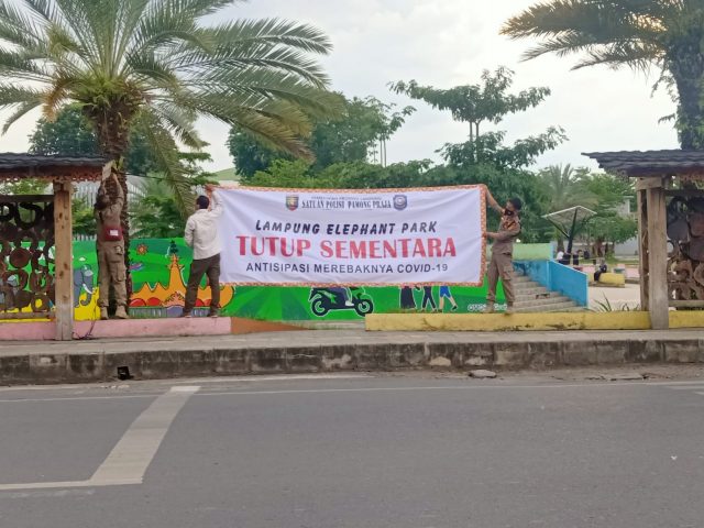 Antisipasi Penyebaran Covid -19, Lampung Elephant Park Ditutup Sementara
