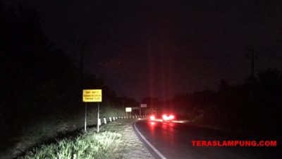 Gelap Gulita, Pemudik Harus Waspada Melintas di Jalinsum Malam Hari
