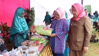 Lomba Desa, Ketua TP PKK Lampung Utara Klarifikasi Lapangan di Sidokayo