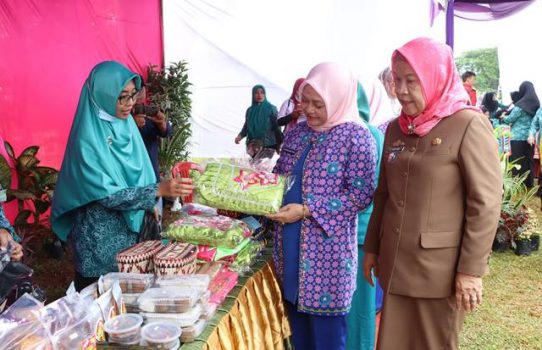 Lomba Desa, Ketua TP PKK Lampung Utara Klarifikasi Lapangan di Sidokayo