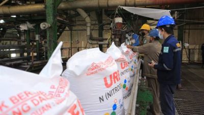 Stok Pupuk Bersubsidi di Lampung Ada 44.663 Ton