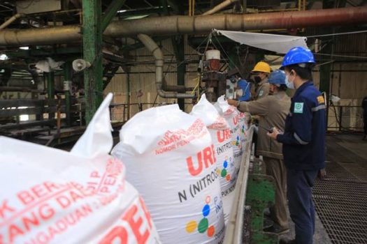 Stok Pupuk Bersubsidi di Lampung Ada 44.663 Ton