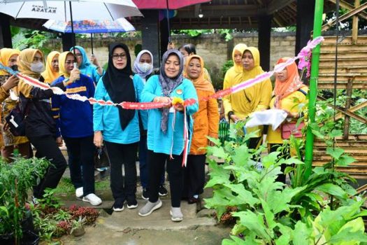Mardiana Musa Ahmad Resmikan Kebun FKWT Berjaya Kampung Gaya Baru V