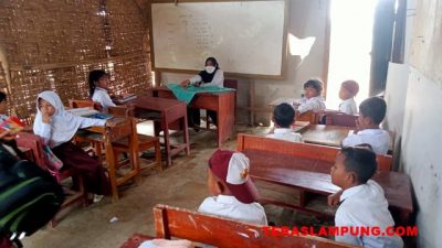 BPBJ Lampung Utara Buka Peluang Lelang Cepat Proyek Renovasi Sekolah Geribik