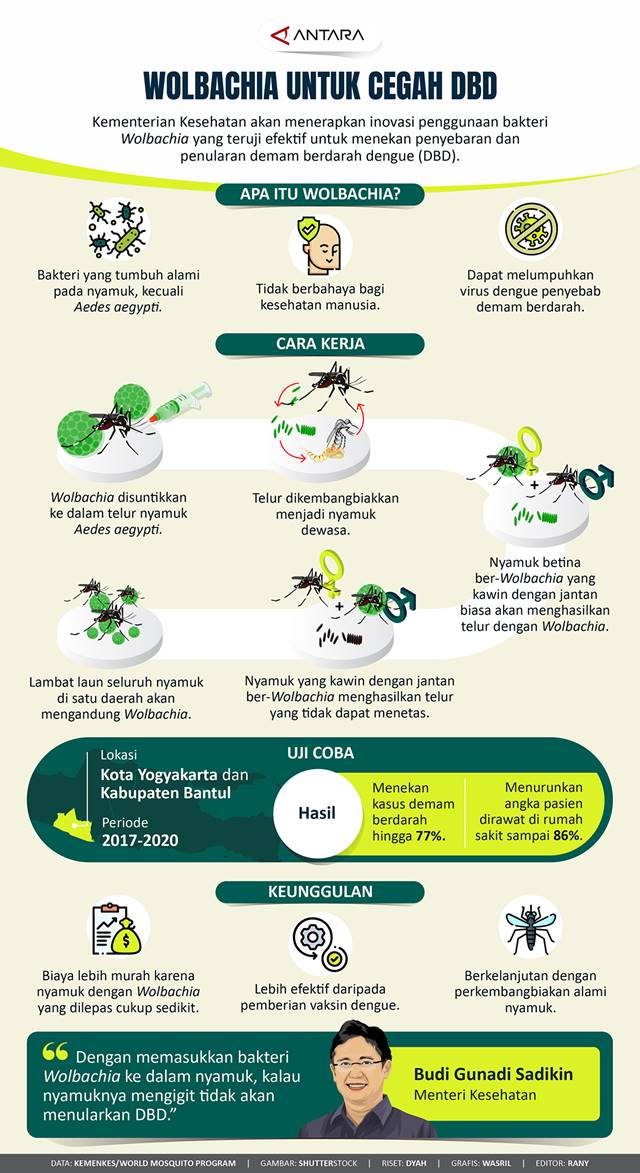 Wolbachia untuk Cegah DBD