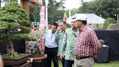 Bupati Lamteng Hadiri Pameran dan Kontes Bonsai Beguai Jejamo Wawai