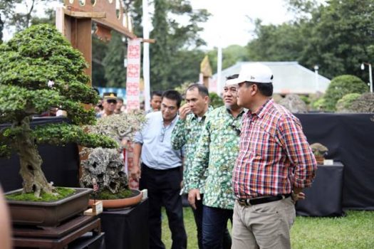 Bupati Lamteng Hadiri Pameran dan Kontes Bonsai Beguai Jejamo Wawai