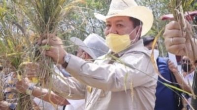 Gubernur Arinal Terima Penghargaan Pendukung Pelaksanaan Program Asuransi Pertanian dari Menteri Pertanian