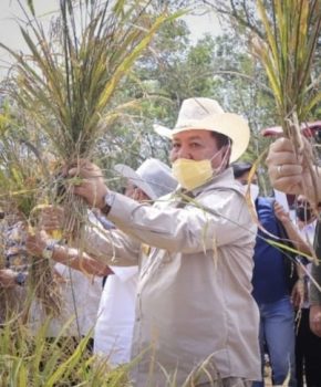 Gubernur Arinal Terima Penghargaan Pendukung Pelaksanaan Program Asuransi Pertanian dari Menteri Pertanian