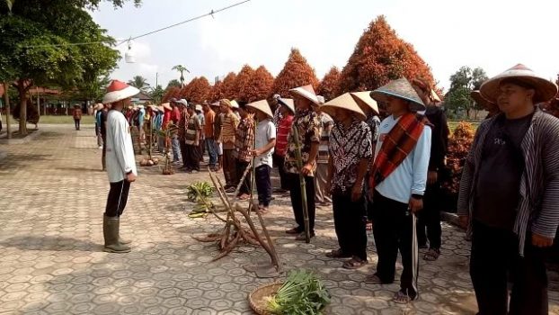 Berkostum Petani, Warga RT 07 Desa Way Gelam Lamsel Gelar Upacara HUT RI