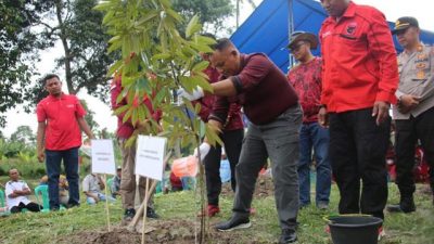 Bupati Nanang Ermanto Tanam Bibit Durian Bersama Warga Bali Agung Palas
