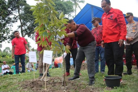 Bupati Nanang Ermanto Tanam Bibit Durian Bersama Warga Bali Agung Palas