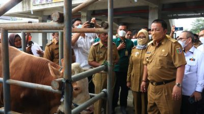 Gubernur Arinal Djunaidi Canangkan Kabupaten Tubaba sebagai Sentra Ternak 