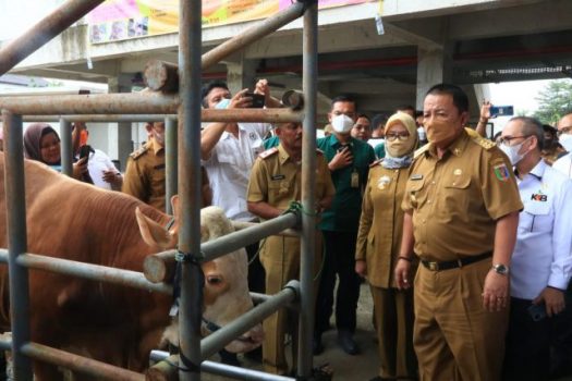 Gubernur Arinal Djunaidi Canangkan Kabupaten Tubaba sebagai Sentra Ternak